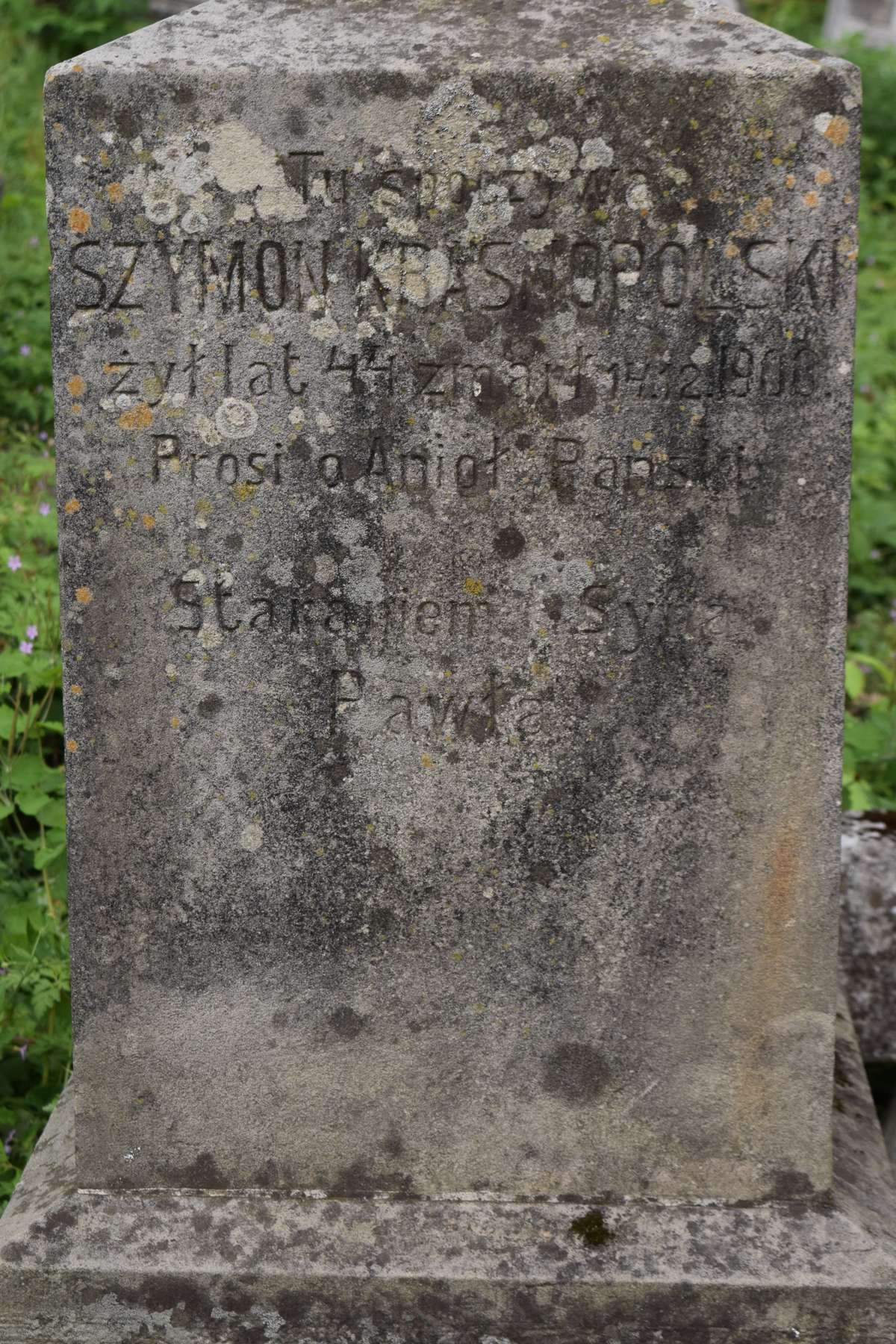 Fragment nagrobka Szymona Krasnopolskiego, cmentarz w Zbarażu, stan z 2018