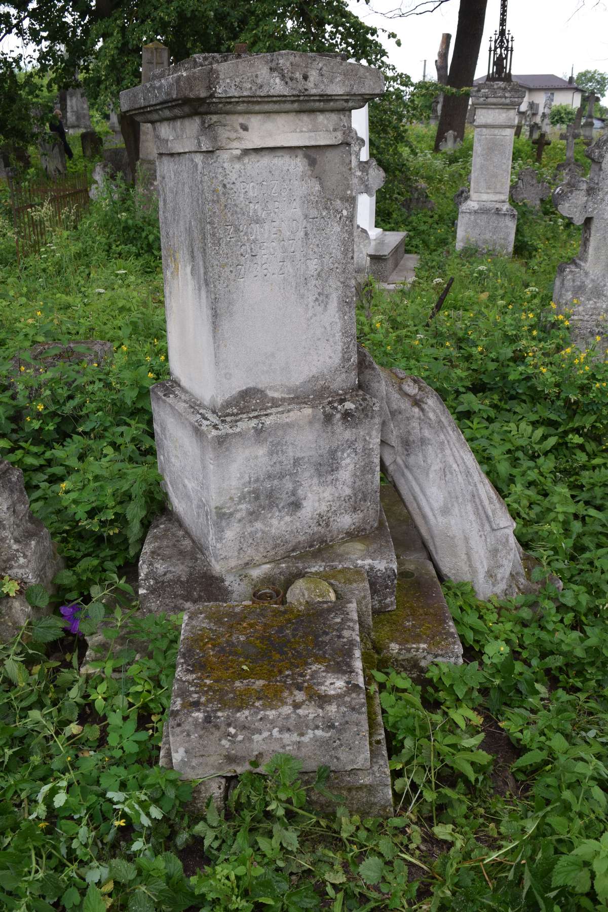 Nagrobek Marii Olegczuk, cmentarz w Zbarażu, stan z 2018