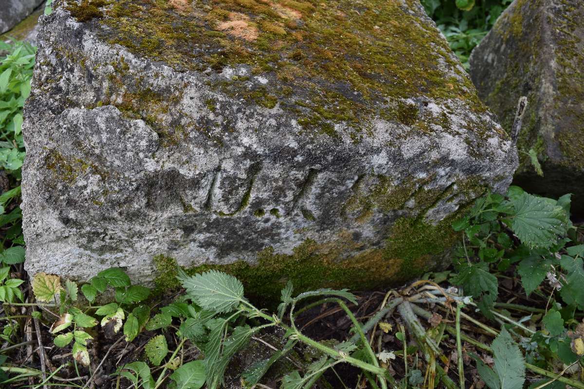 Tombstone of Antonina and Eduard Wohlfeld, Zbarazh cemetery, state of 2018