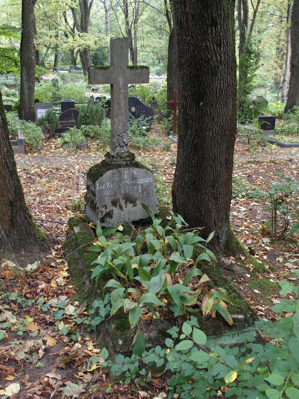 Nagrobek Jana Wincentego Nowalińskiego, cmentarz św. Michała w Rydze, stan z 2021 r.