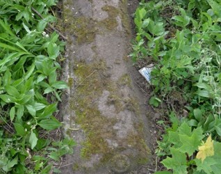 Nagrobek N.N., cmentarz w Zbarażu, stan z 2018