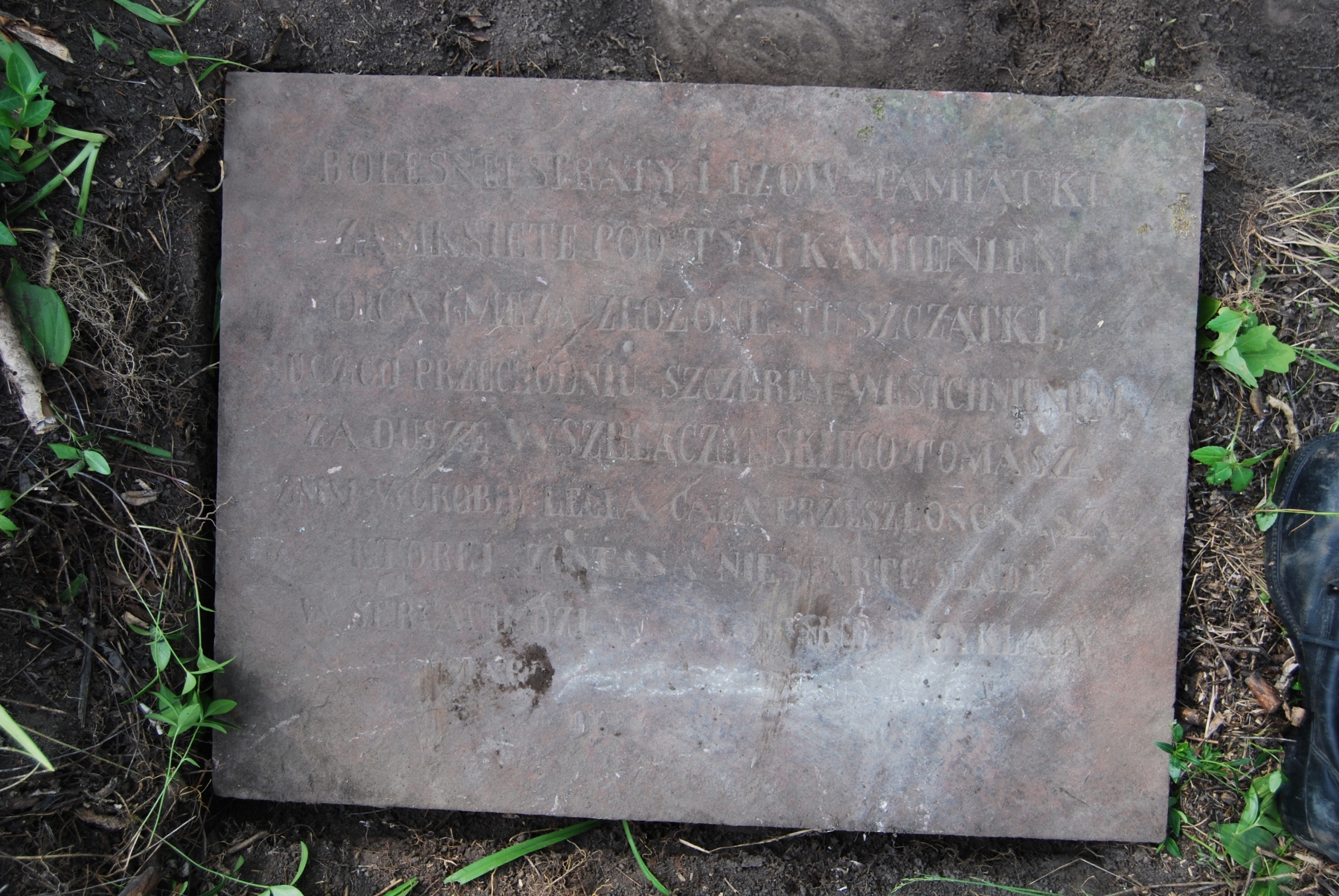 Tomas Wszelaczynski tombstone, Zbarazh cemetery, state of 2018