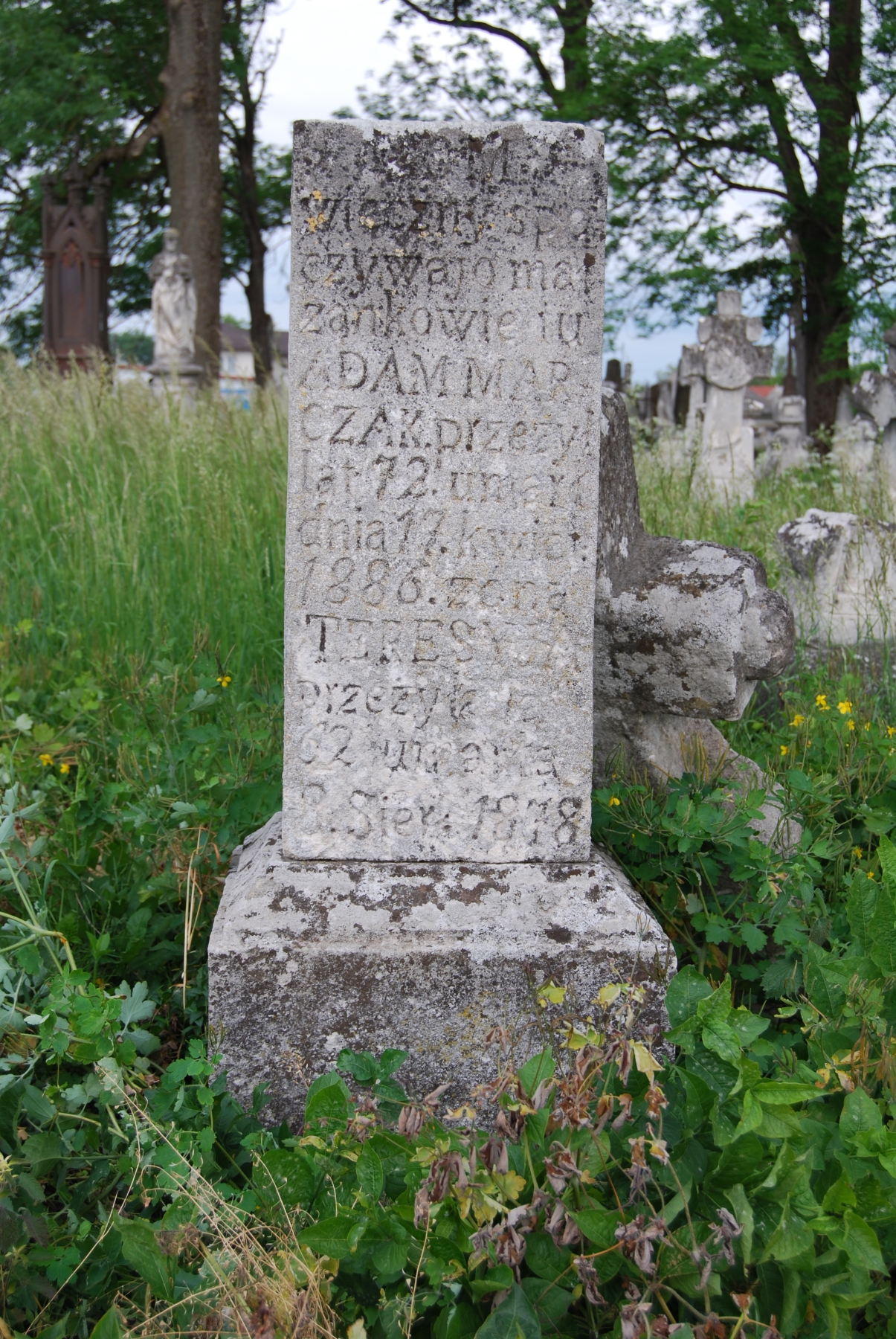 Nagrobek Adama i Teresyi Marczaków, cmentarz w Zbarażu, stan z 2018