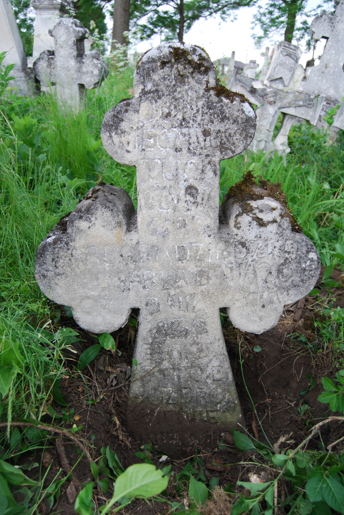 Tombstone of Barbara Dziedzicowa, Zbarazh cemetery, as of 2018