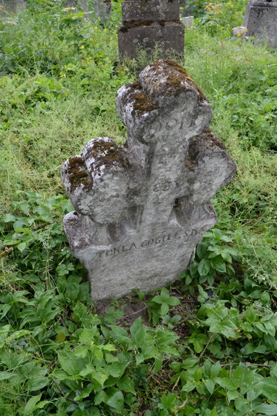 Nagrobek Tekli Gogulskiej, cmentarz w Zbarażu, stan z 2018