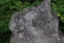 Fotografia przedstawiająca Tombstone N.N.