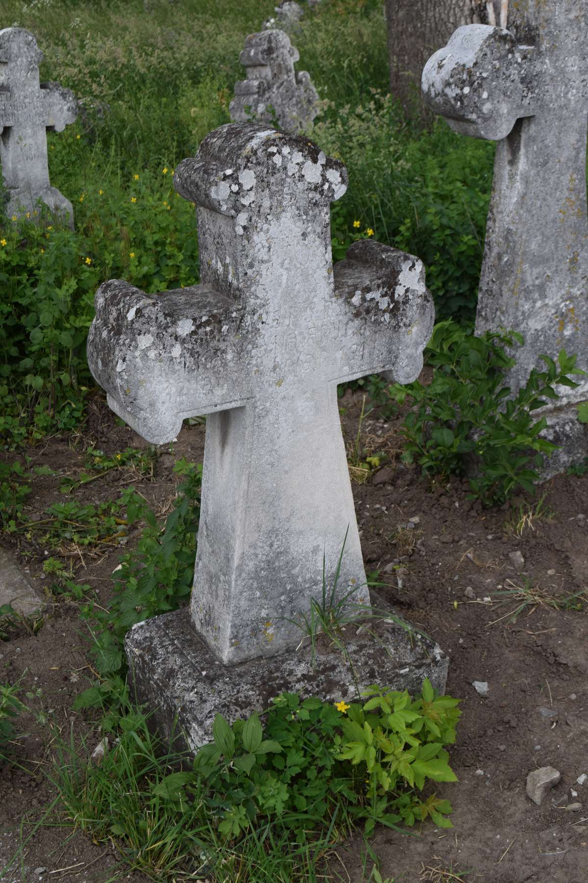 Tombstone of Catherine Fryga, Zbarazh cemetery, state of 2018