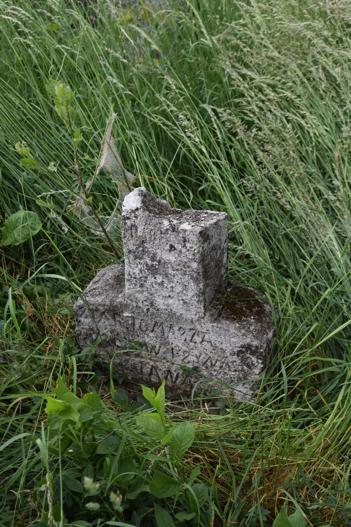 Tombstone of N.N., Zbarazh cemetery, state of 2018