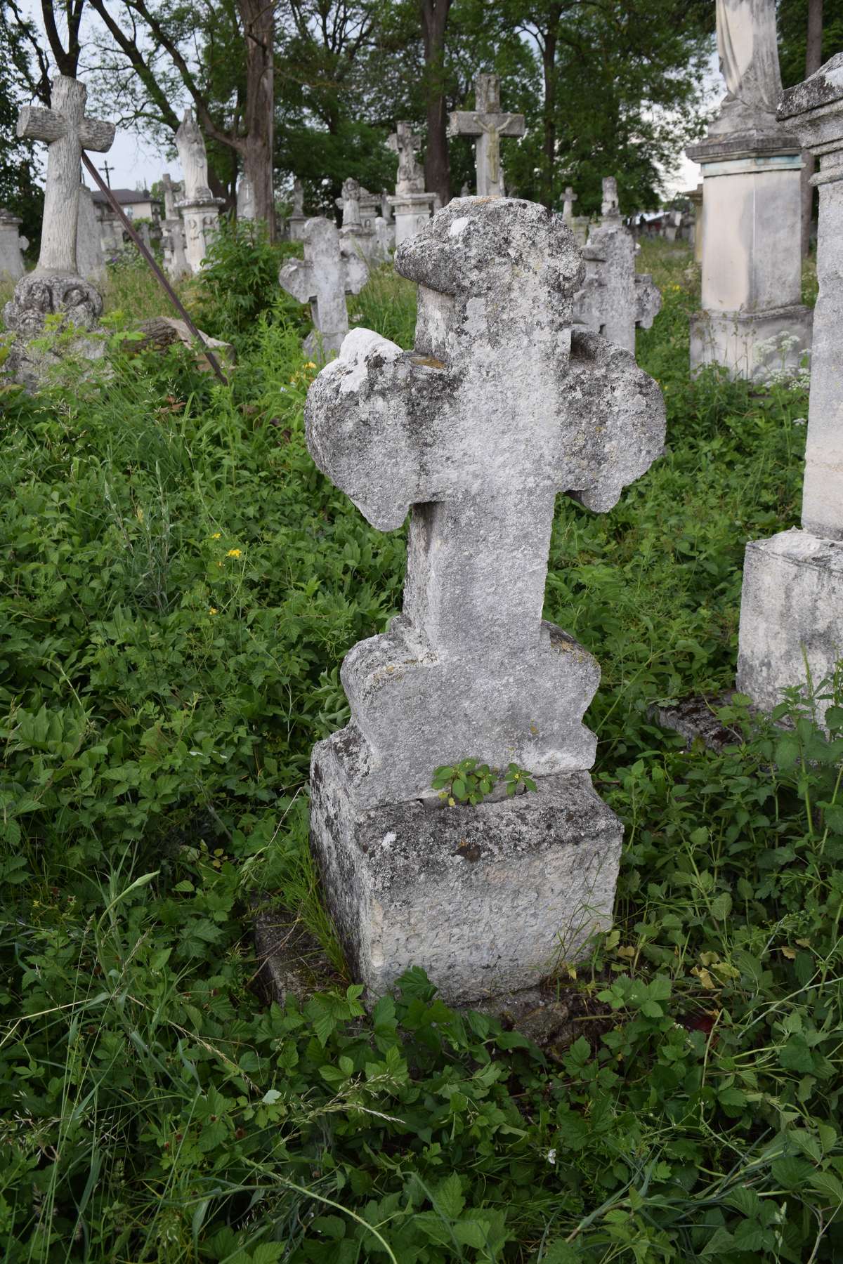 Nagrobek Józefy Kuciuruby, cmentarz w Zbarażu, stan z 2018