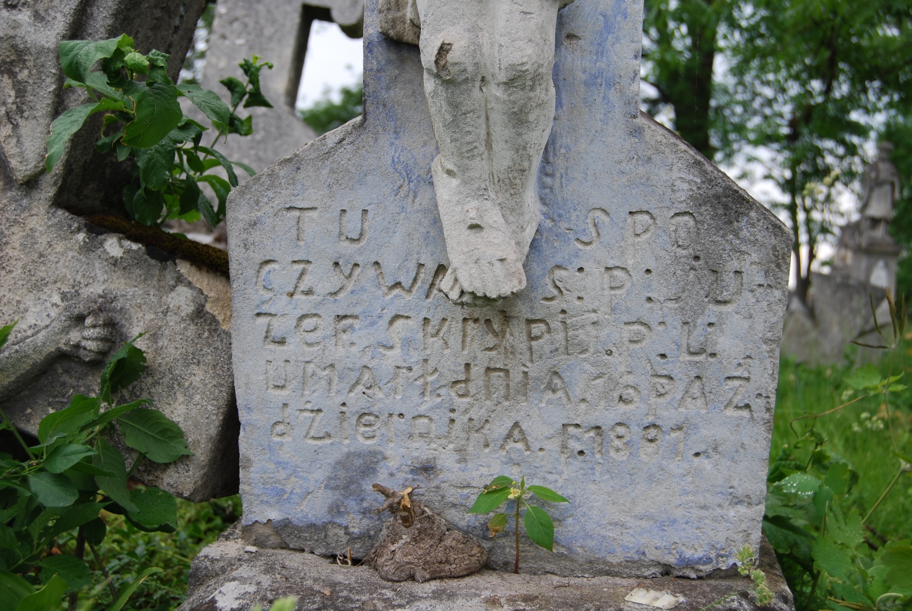 Tombstone of Joseph Skrypi, Zbarazh cemetery, state of 2018