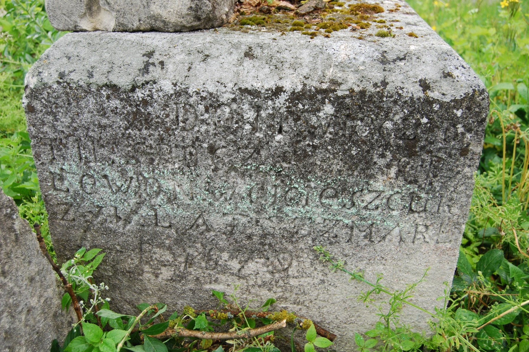 Tombstone of Levon Vojtechur, Zbarazh cemetery, state of 2018