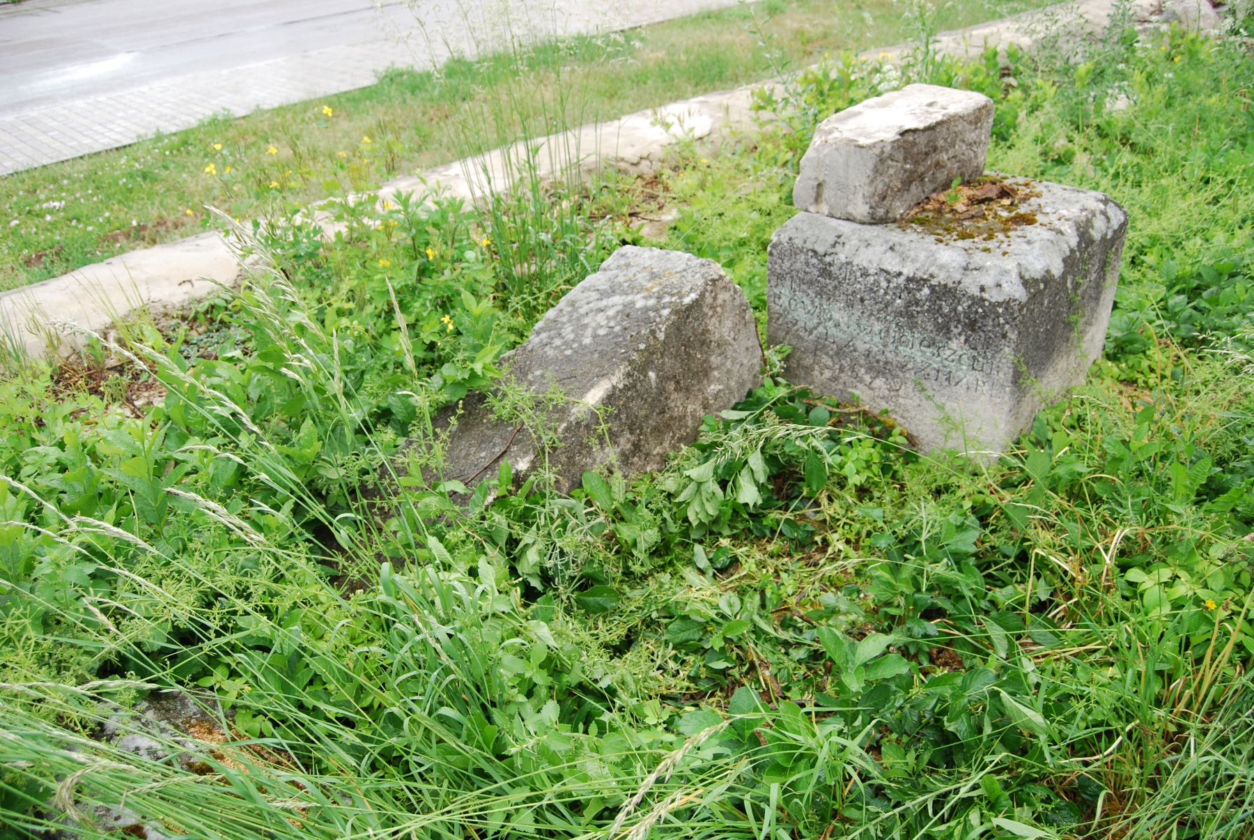 Tombstone of Levon Vojtechur, Zbarazh cemetery, state of 2018