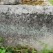 Fotografia przedstawiająca Nagrobek Lewona Wojcieszczura