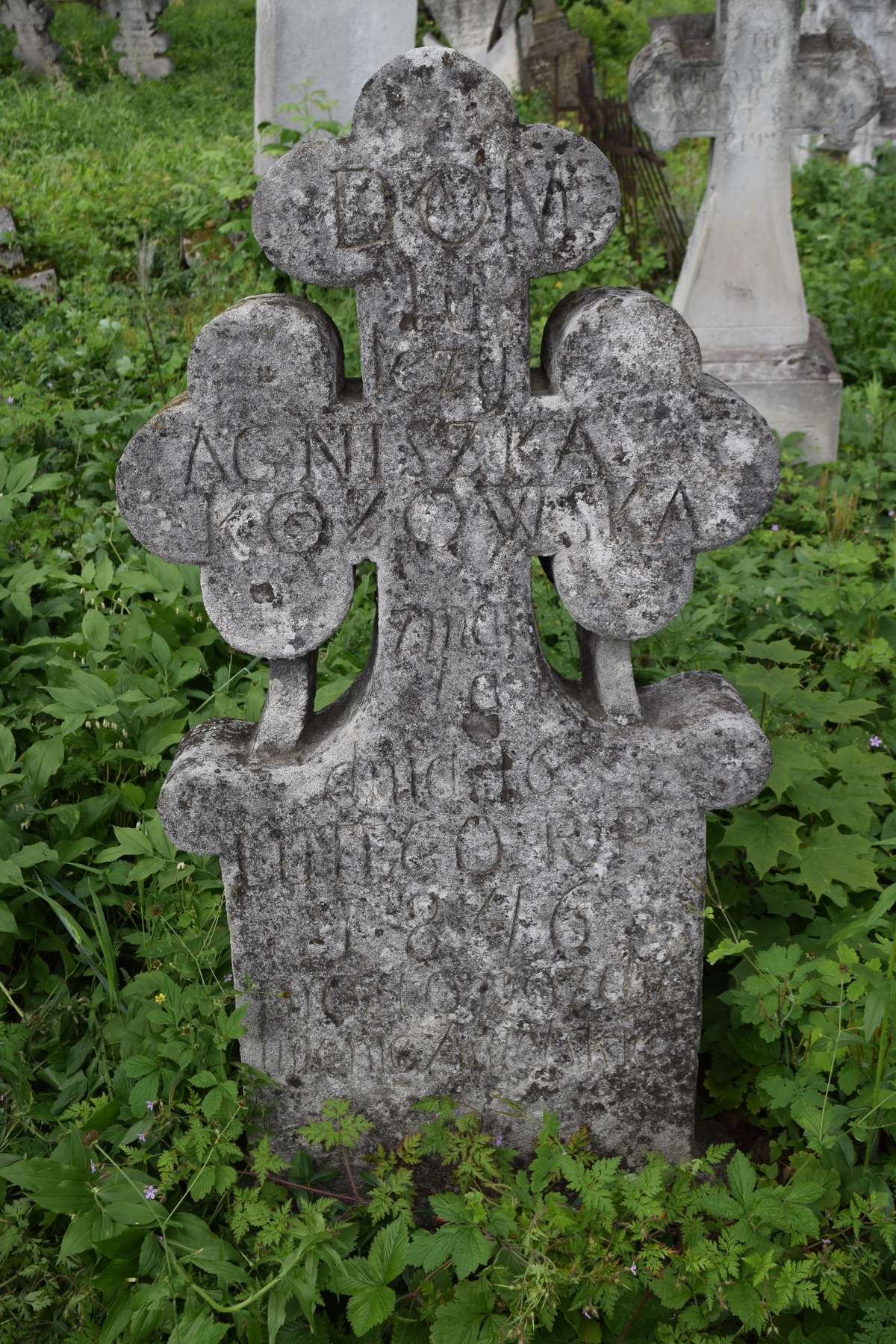 Tombstone of Agnieszka Kozowska, Zbarazh cemetery, as of 2018