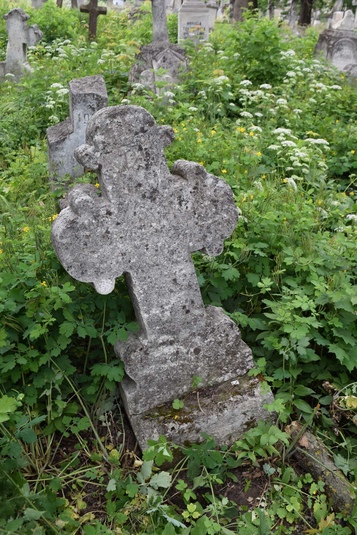 Tombstone of Jan Partyka, Zbarazh cemetery, state of 2018