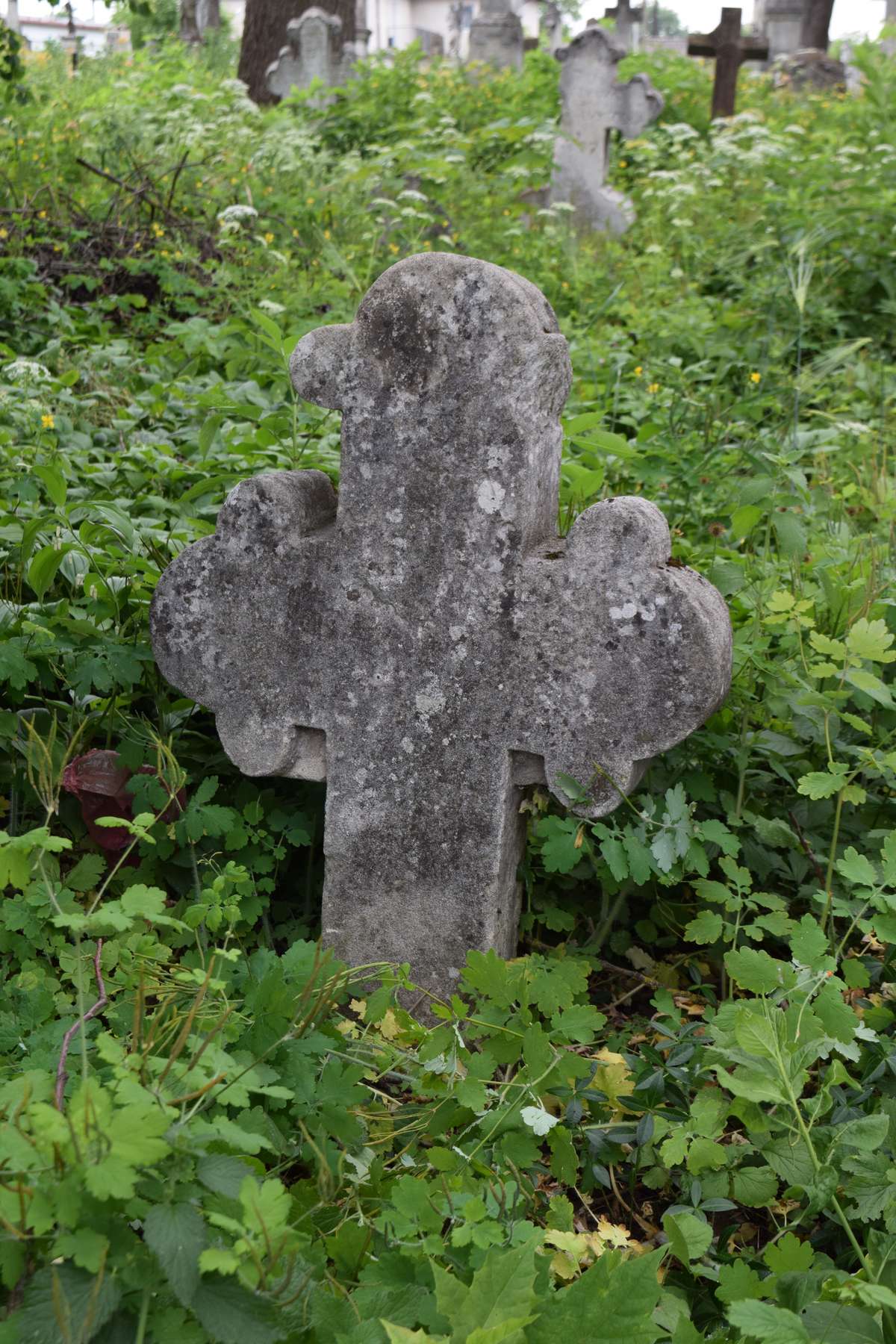Nagrobek Katarzyny Czaiwskiej, cmentarz w Zbarażu, stan z 2018
