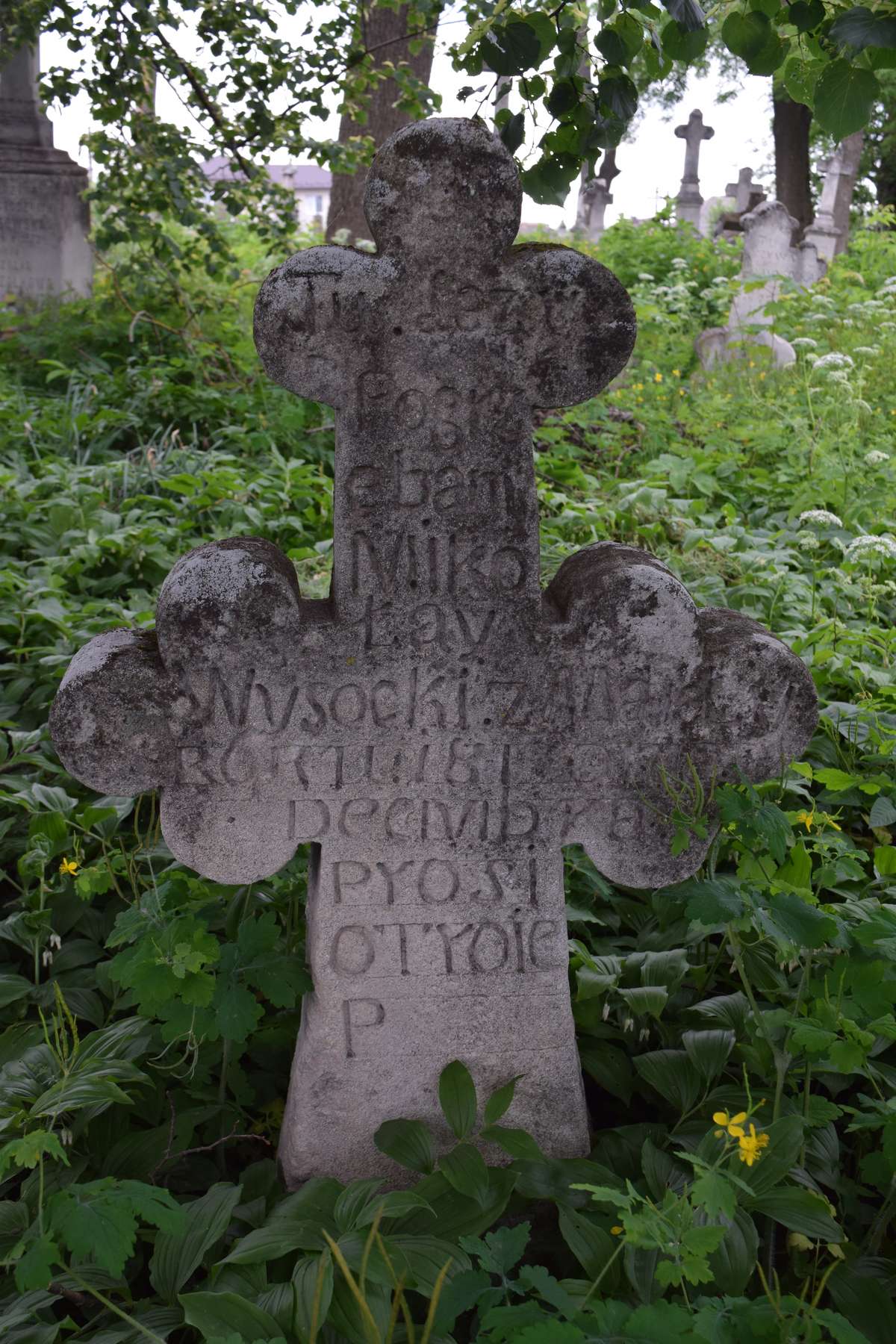 Tombstone of Mikolaj Wysocki, Zbarazh cemetery, state of 2018