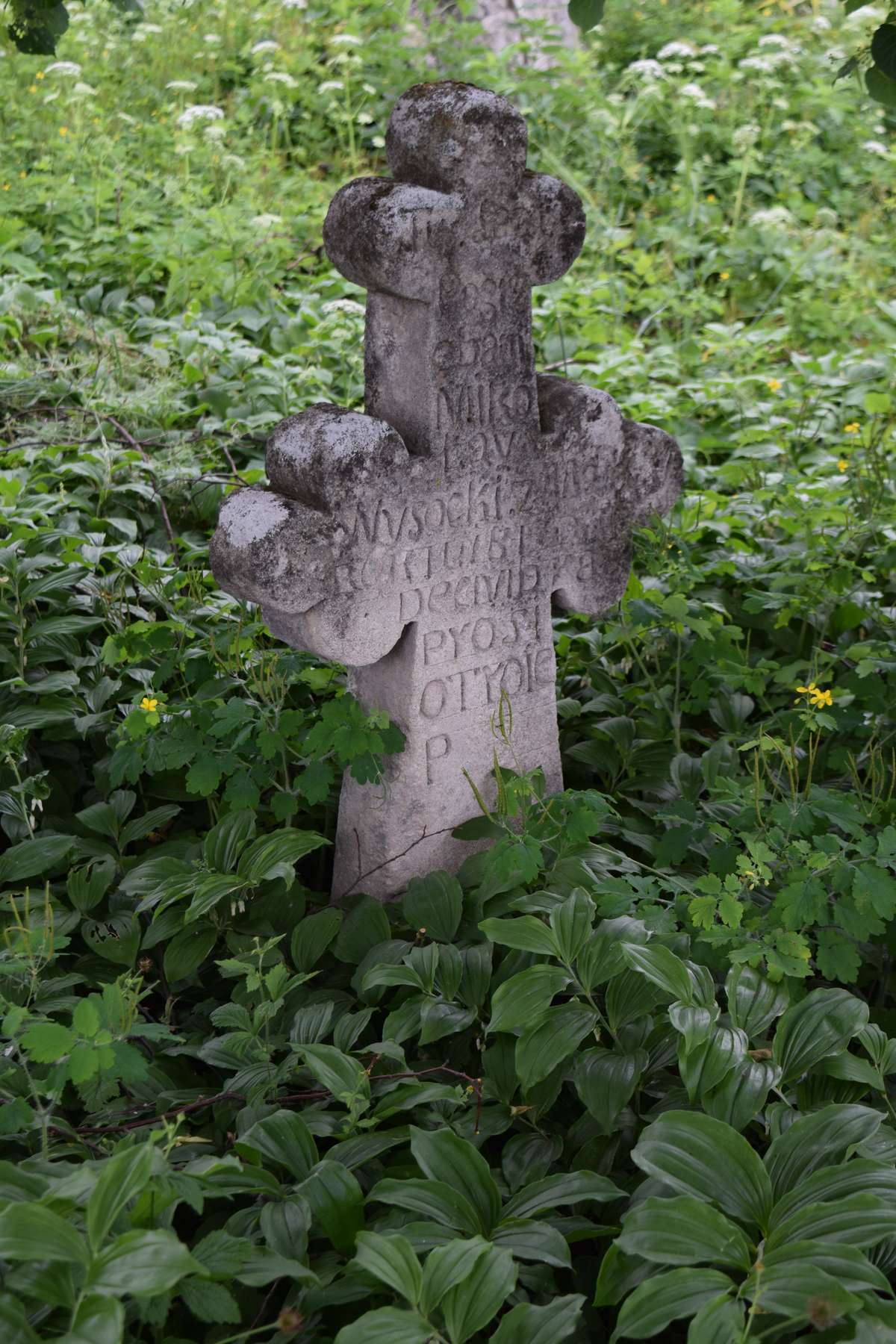 Tombstone of Mikolaj Wysocki, Zbarazh cemetery, state of 2018