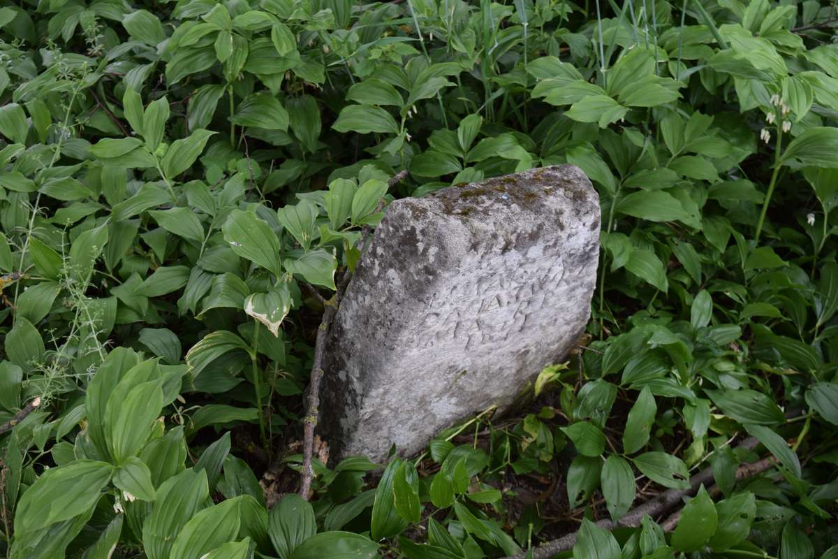 Tombstone of N.N., Zbarazh cemetery, state of 2018