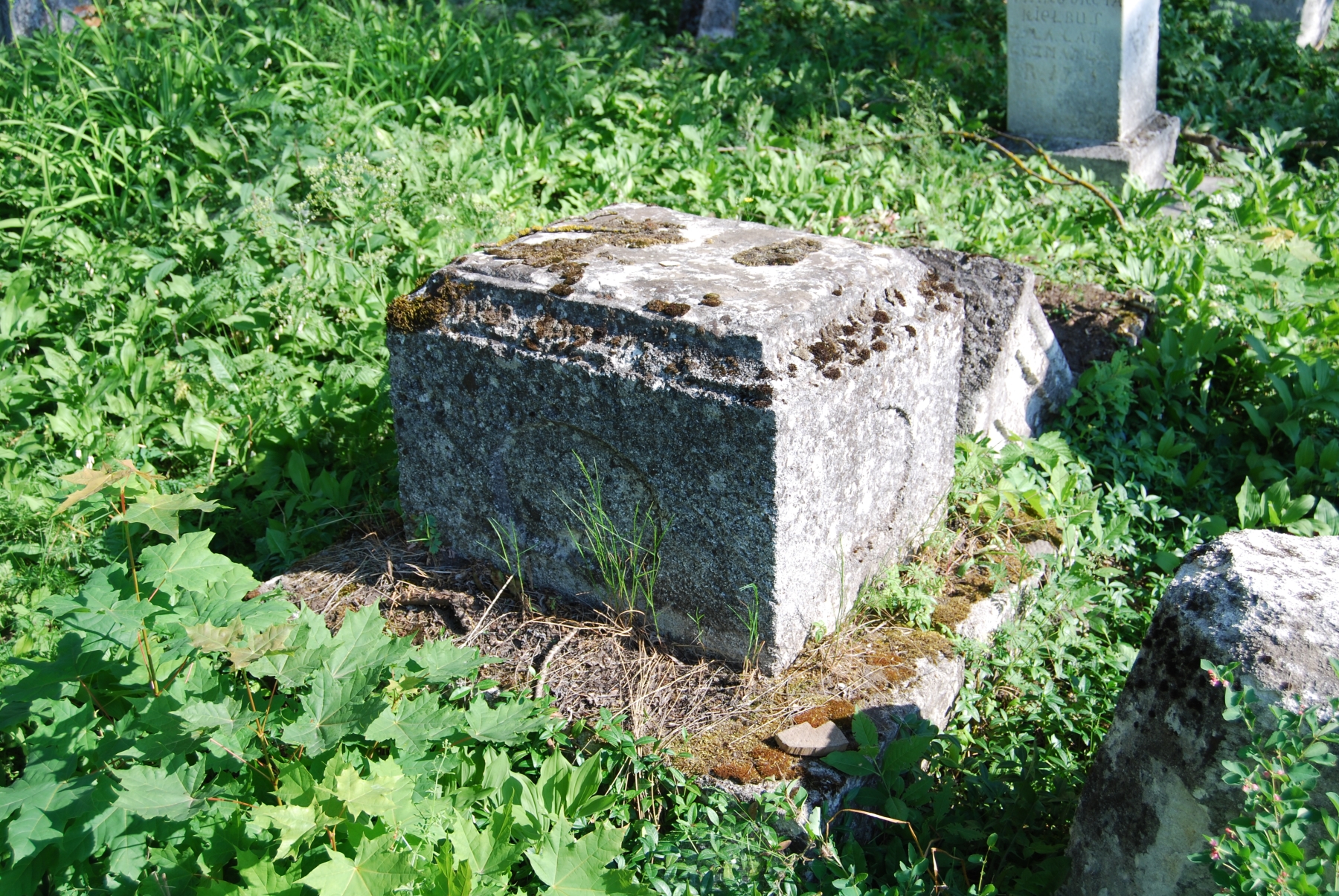 Tombstone of N.N., Zbarazh cemetery, state of 2018