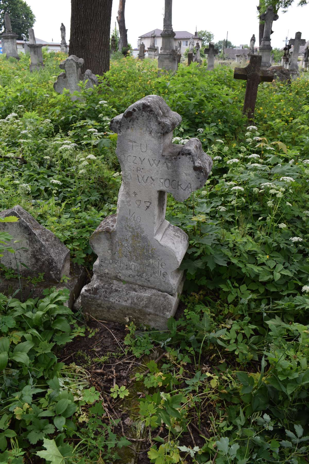 Tombstone of N.N. Wysocka, Zbarazh cemetery, state of 2018