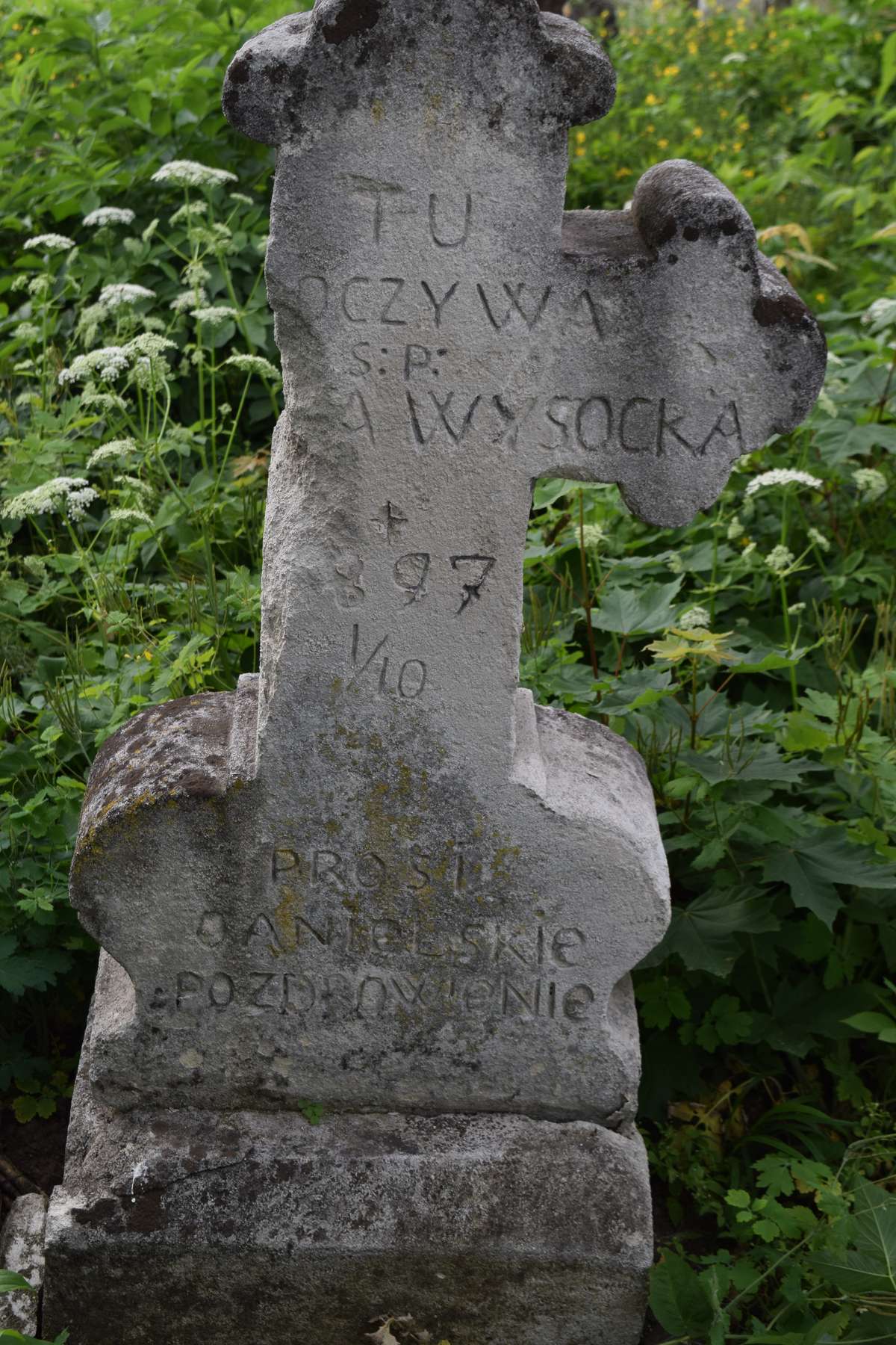 Tombstone of N.N. Wysocka, Zbarazh cemetery, state of 2018