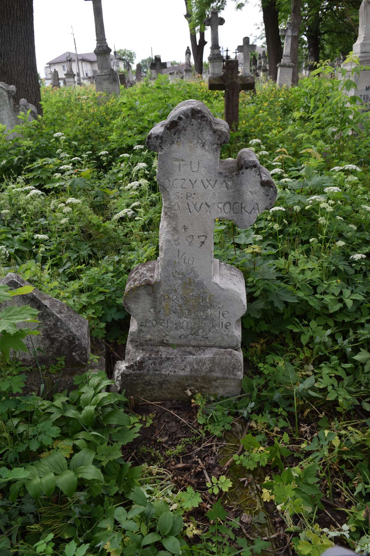 Tombstone of N.N. Wysocka, Zbarazh cemetery, state of 2018