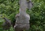 Fotografia przedstawiająca Nagrobek N.N. Wysockiej