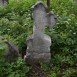 Fotografia przedstawiająca Nagrobek N.N. Wysockiej