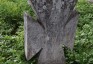 Fotografia przedstawiająca Nagrobek Rozalii Zychlewy
