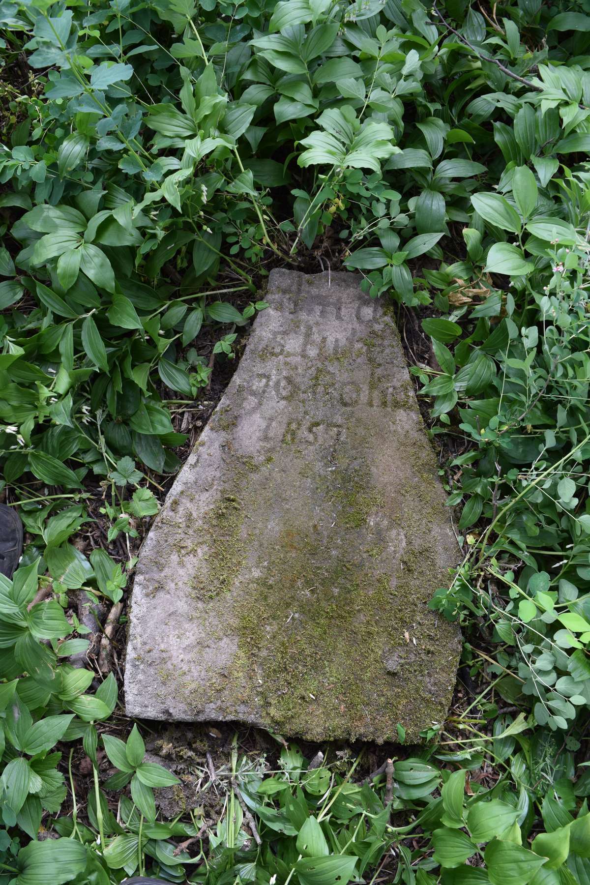 Tombstone of Anna Angerman, Zbarazh cemetery, as of 2018
