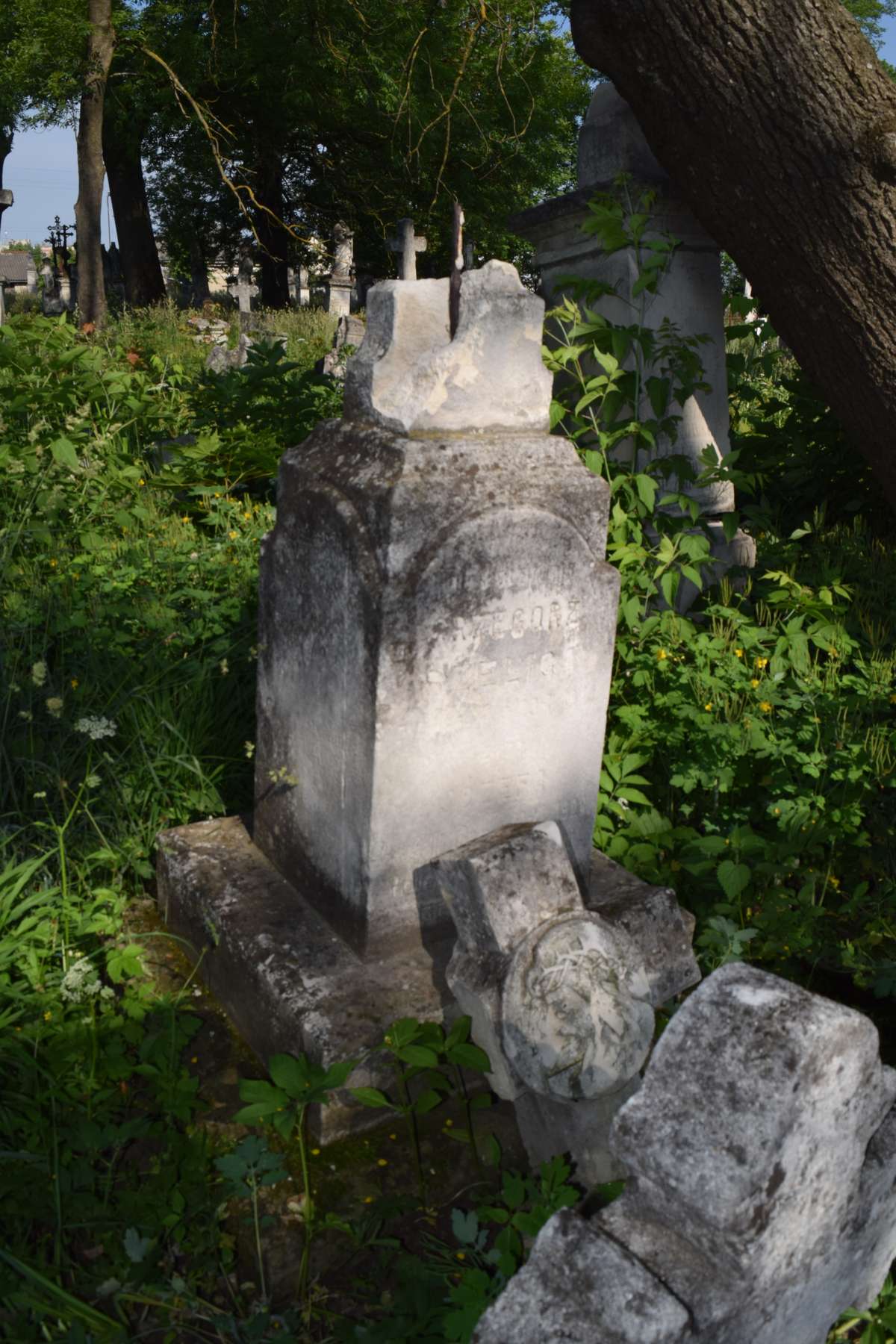 Tombstone of Gregory and Józefa Szeliga, Zbarazh cemetery, state of 2018