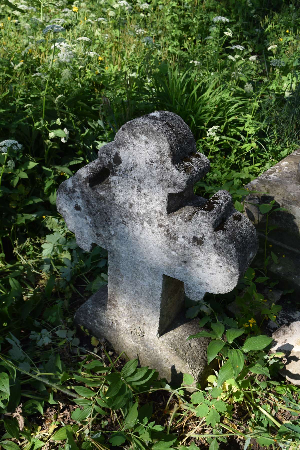 Tombstone of Marianna Kancylarz, Zbarazh cemetery, state of 2018