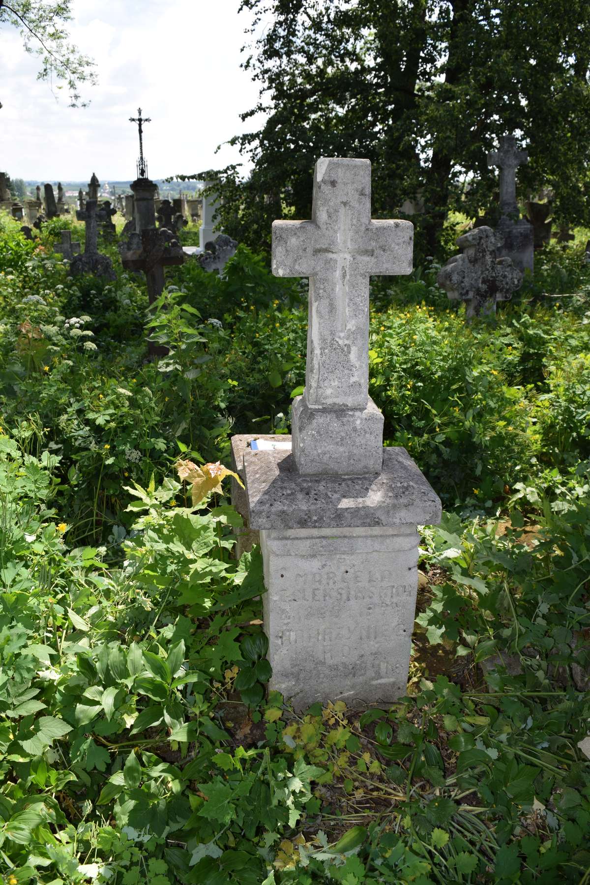 Tombstone of Marcela and Wawrzyniec Jarosz, Zbarazh cemetery, state 2018
