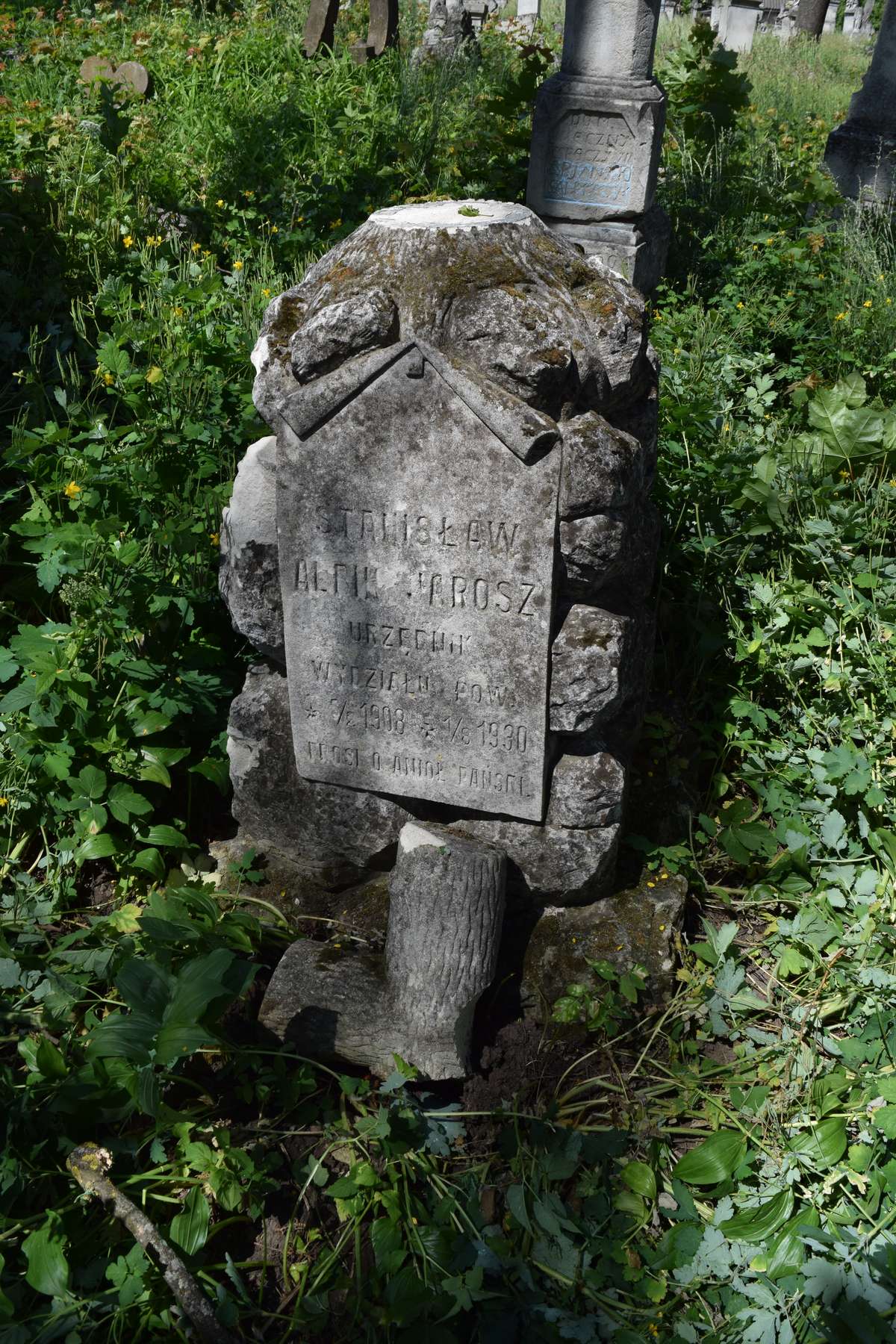 Tombstone of Stanislaw Jarosz, Zbarazh cemetery, as of 2018