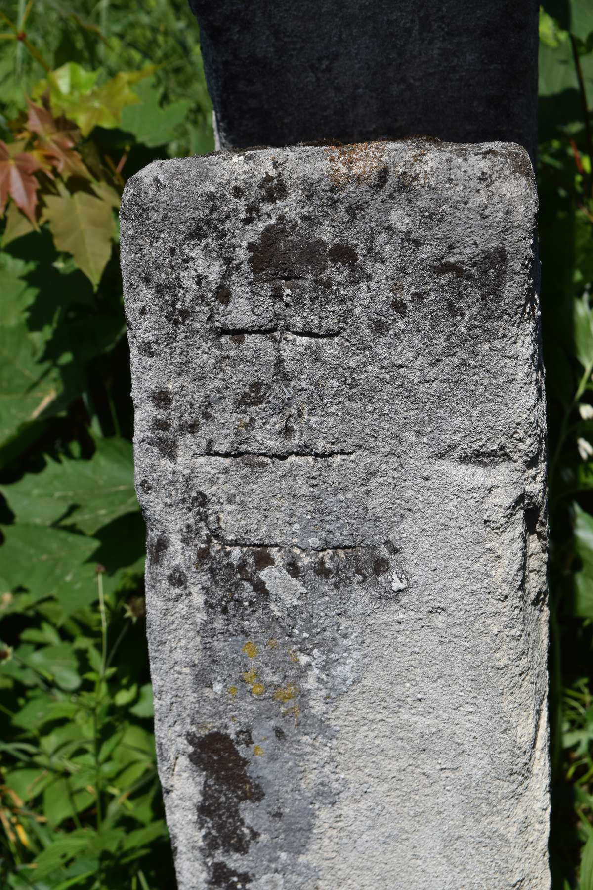 Tombstone of N.N. Wysocka, Zbarazh cemetery, state of 2018