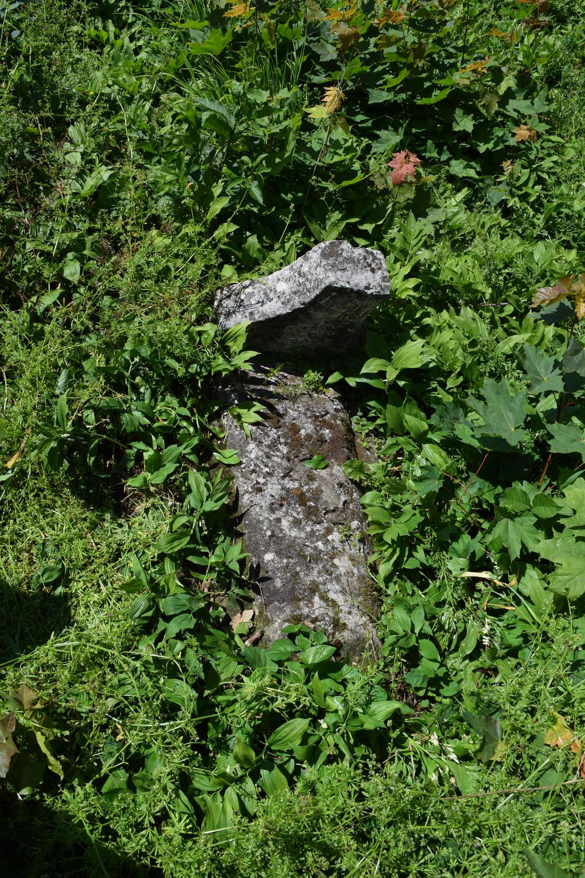 Tombstone of Wawrzyniec Obszarski, Zbarazh cemetery, as of 2018