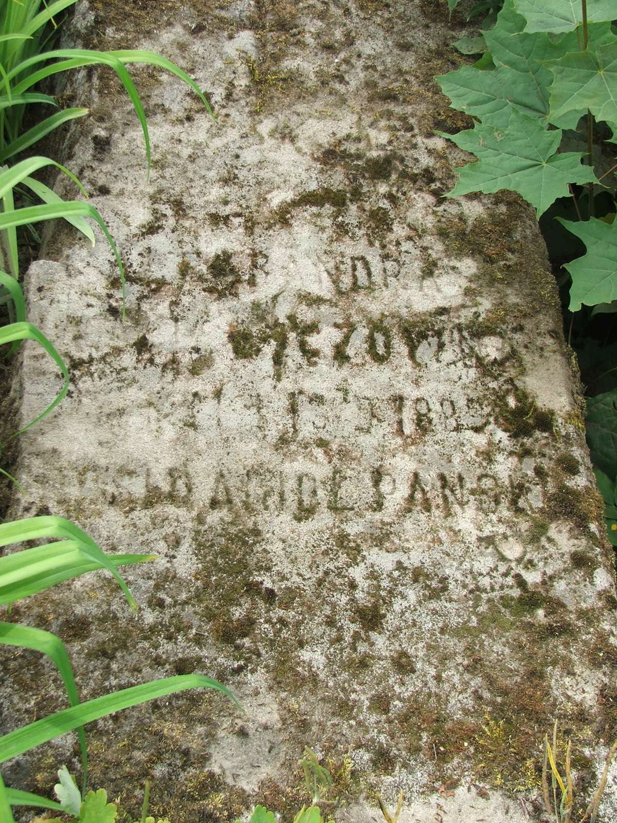 Tombstone of Aleksandra [...]czówna, Zbarazh cemetery, as of 2018