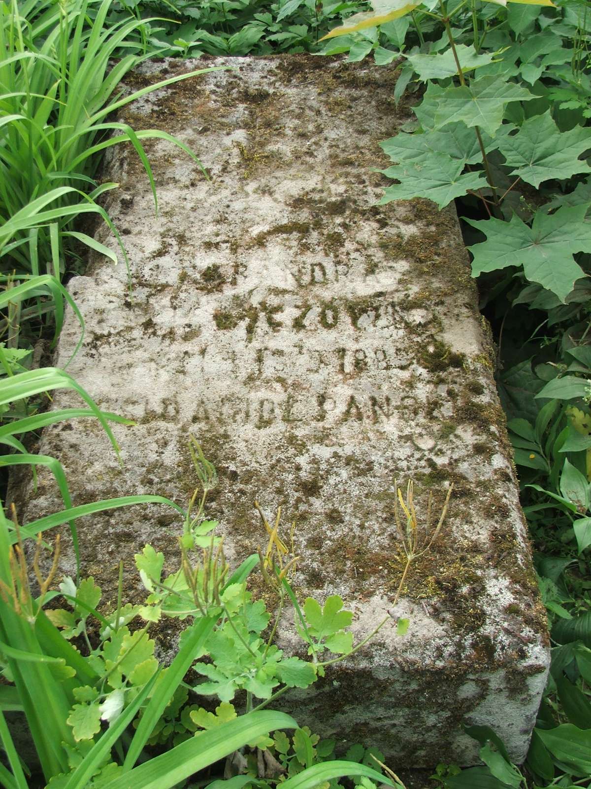 Tombstone of Aleksandra [...]czówna, Zbarazh cemetery, as of 2018