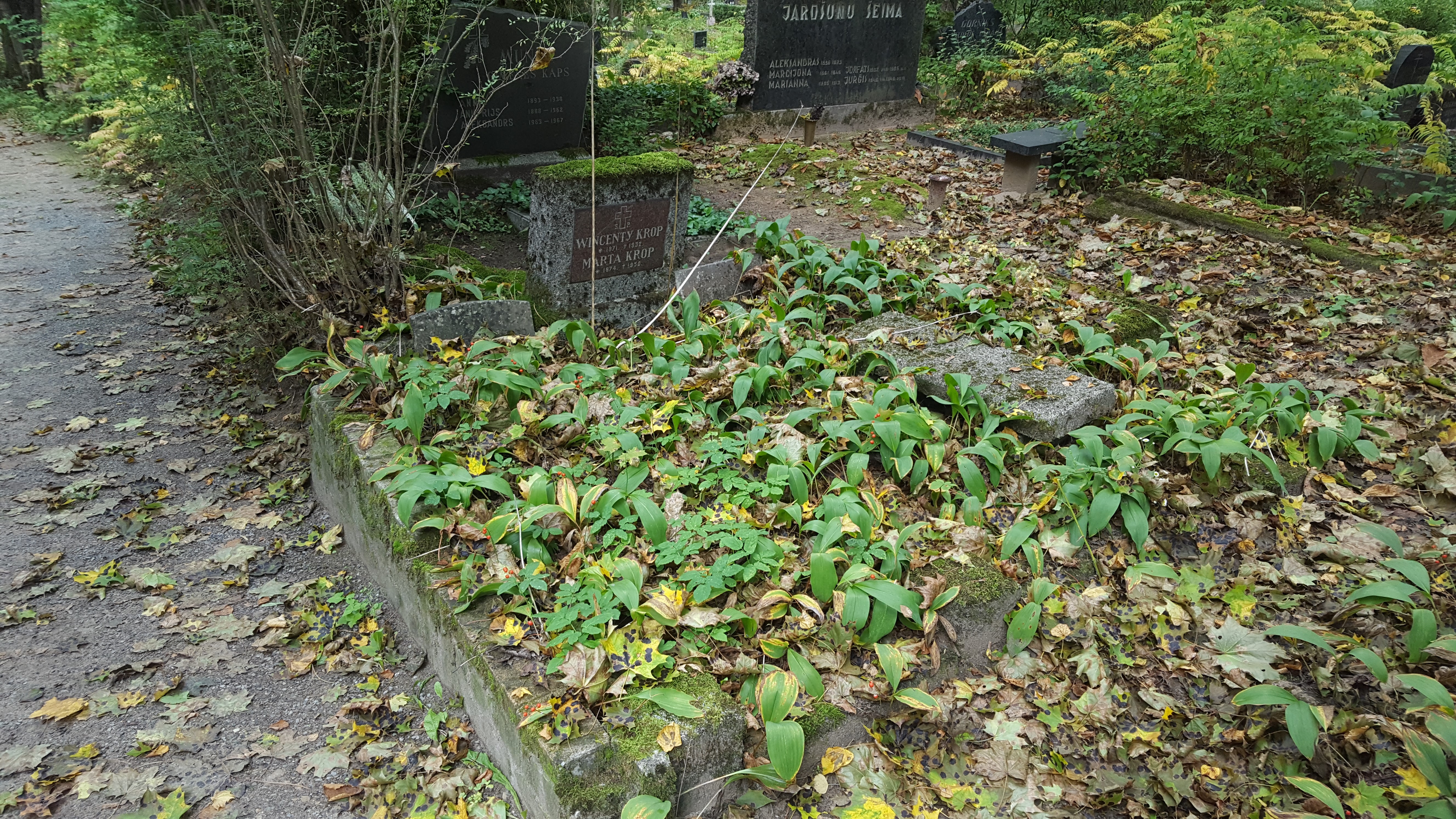 Tombstone of the Krop family, St. Michael's cemetery in Riga, as of 2021