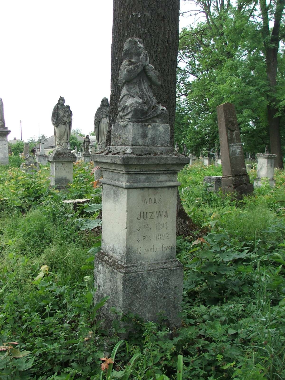 Nagrobek Adama Juzwa, cmentarz w Zbarażu, stan z 2018