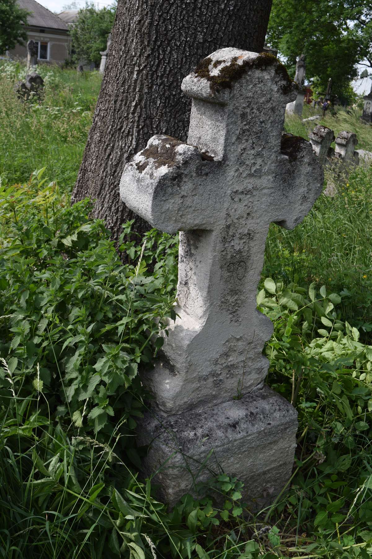 Tombstone of Maciej N.N., Zbarazh cemetery, state of 2018