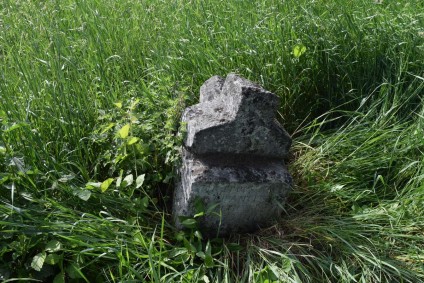 Nagrobek Franciszka Czaplińskiego, cmentarz w Zbarażu, stan z 2018