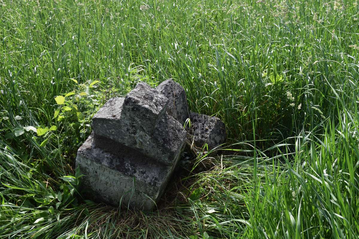 Tombstone of Franciszek Czaplinski, Zbarazh cemetery, as of 2018