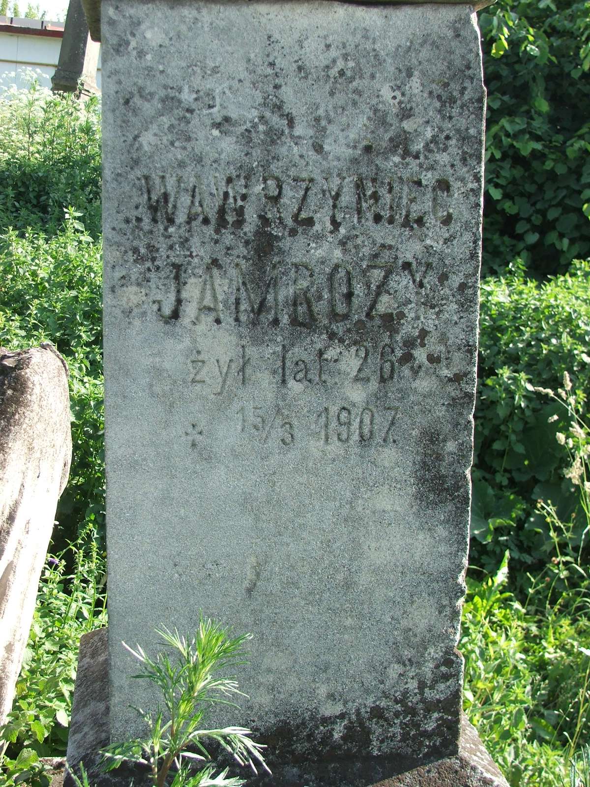 Fragment of the tombstone of Nicholas and Lawrence Jamoza, Zbarazh cemetery, as of 2018