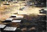 Photo showing Polish graves in the Sewri Christian Cemetery