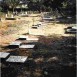 Photo showing Polish graves in the Sewri Christian Cemetery