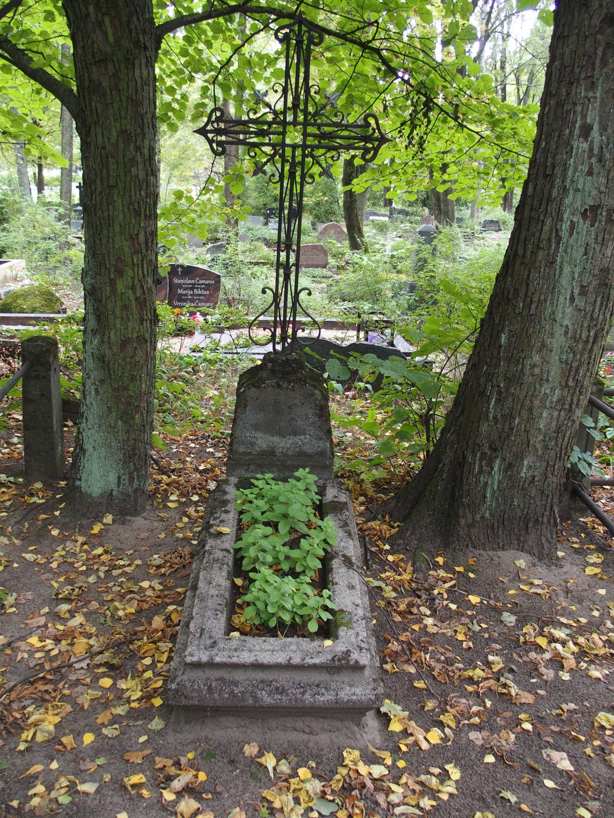 Tombstone of Stanislava Laszczynska and Jozef Laszczynski, St Michael's cemetery in Riga, as of 2021.