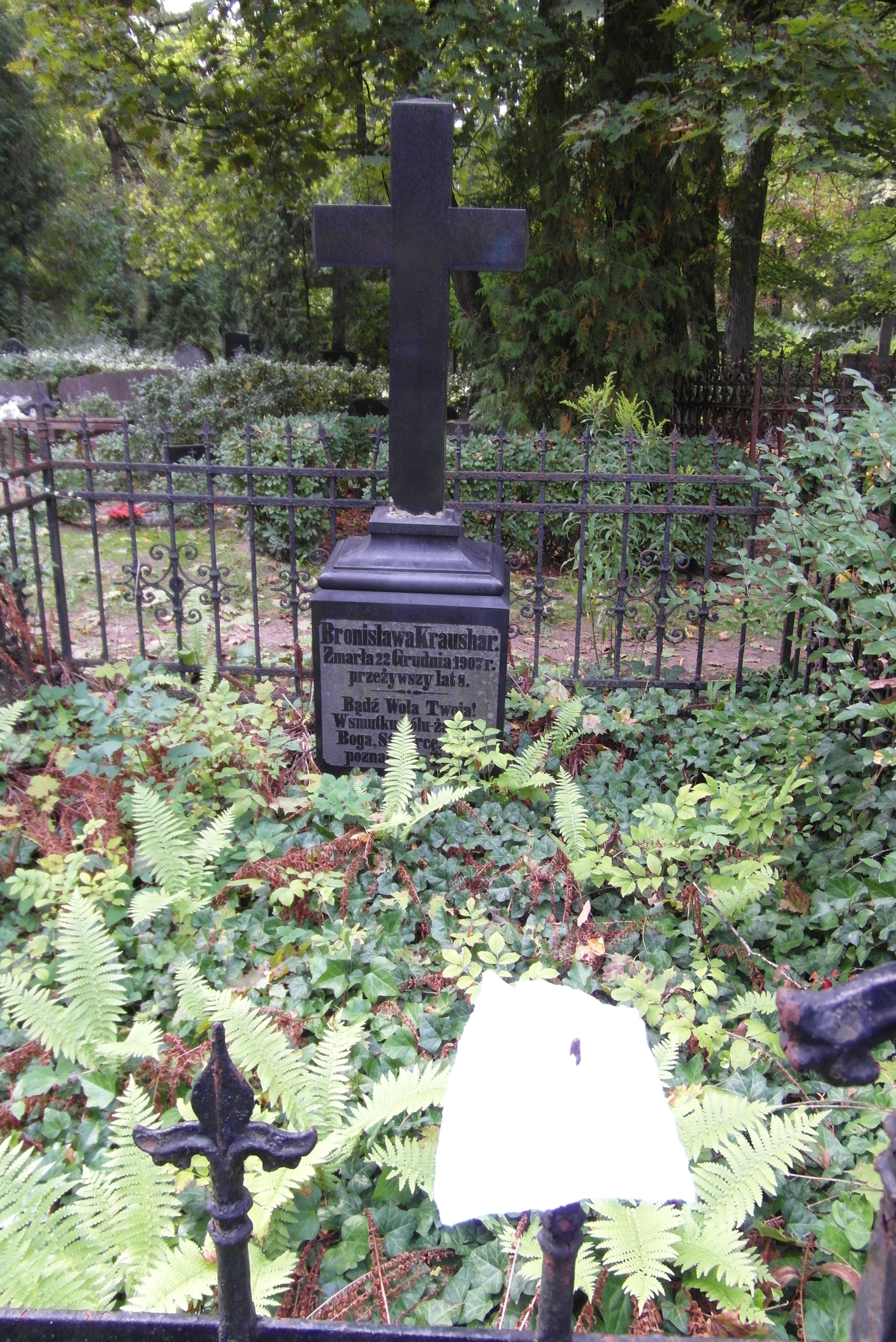 Tombstone of Bronislava Kraushar, St Michael's cemetery in Riga, as of 2021.