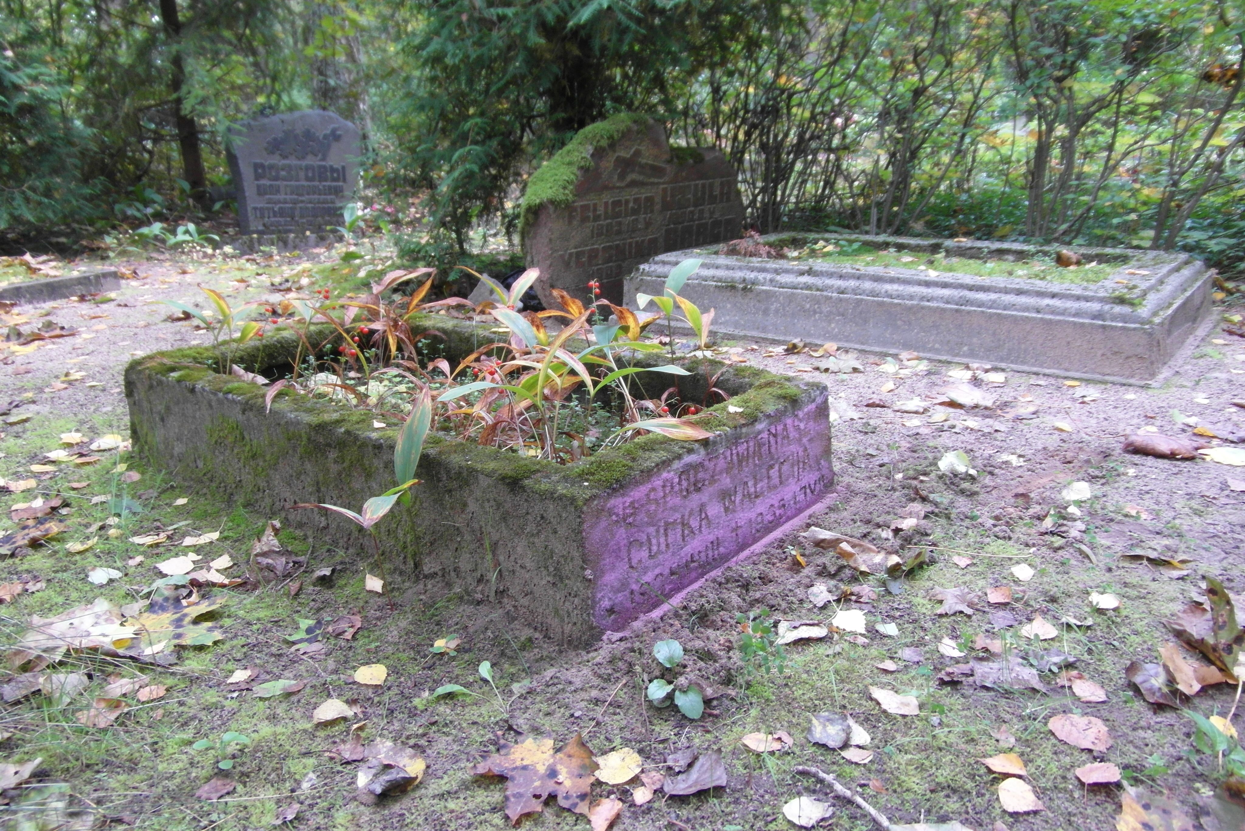 Tombstone of N.N., St Michael's cemetery in Riga, as of 2021.